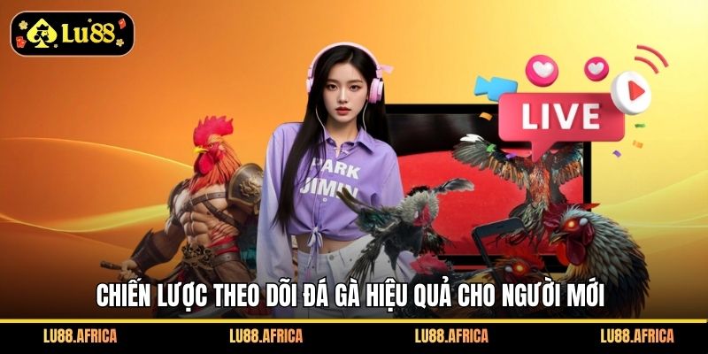 Chiến lược theo dõi đá gà hiệu quả cho người mới