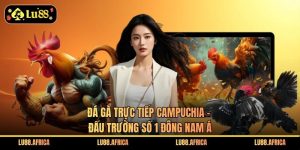Đá Gà Trực Tiếp Campuchia