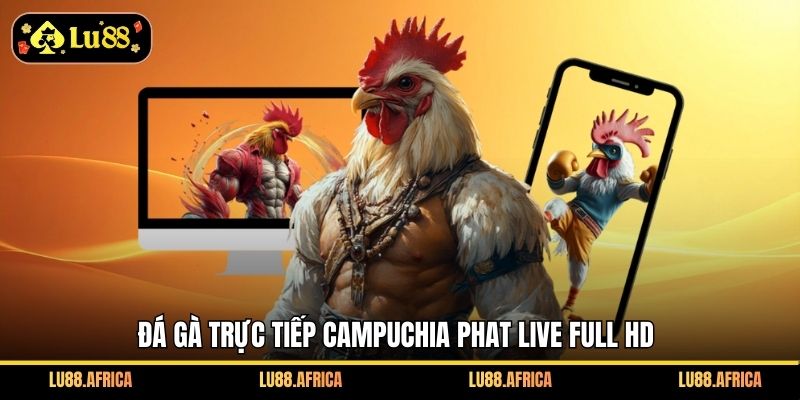 Đá gà trực tiếp Campuchia phat live full HD