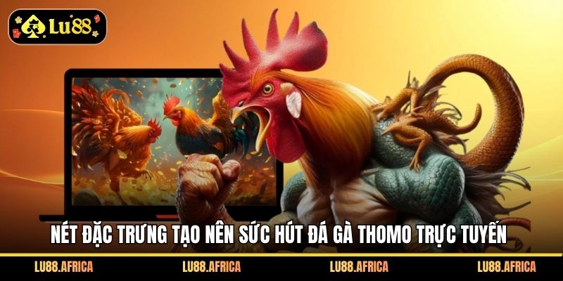 Nét đặc trưng tạo nên sức hút đá gà Thomo trực tuyến