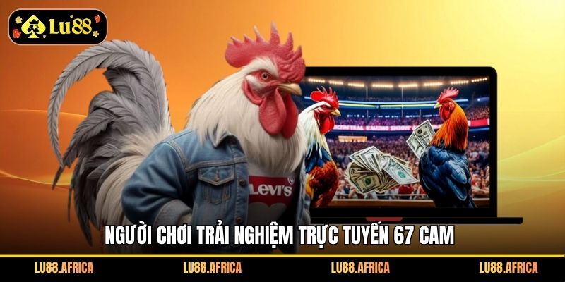 Người chơi trải nghiệm trực tuyến 67 Cam